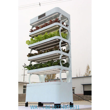 Smart Home Uses - arming Home Hydroponic Growing SystemsNew Arrival