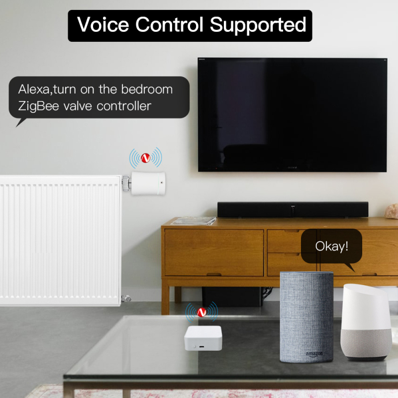 Tuya Smart Gateway Hub Multi-m - Smart Home Zentrale review and price