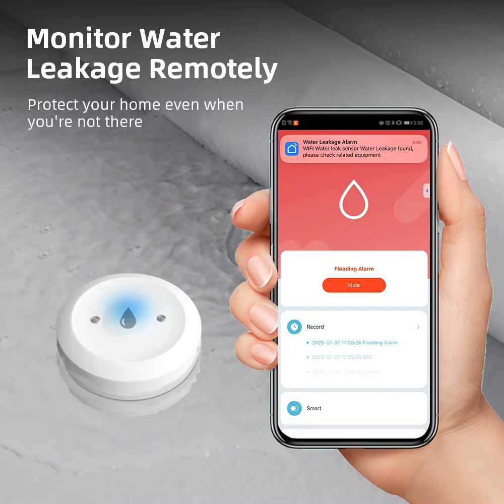 Smart Zigbee Water Leak Sensor - Smart Home Zentrale review and price
