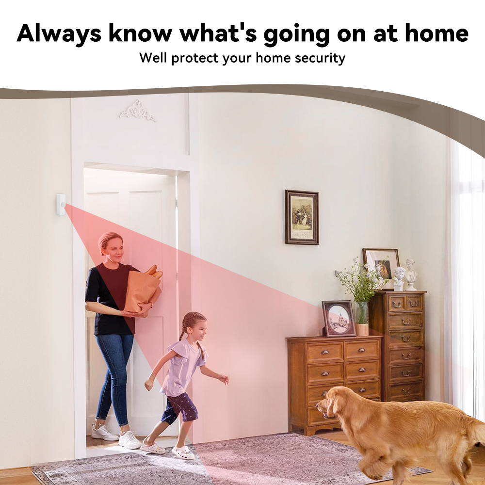 Tuya Smart PIR Motion Sensor S - Smart Home Wiser review and price