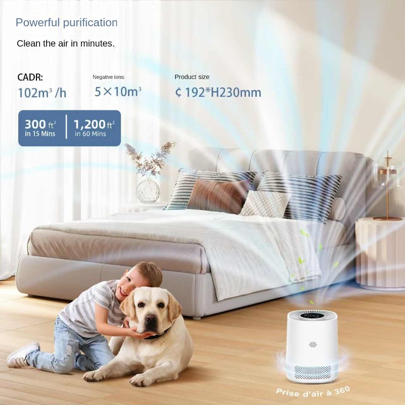Smart Home Air Purifier with A - Smart Air Purifier review and price