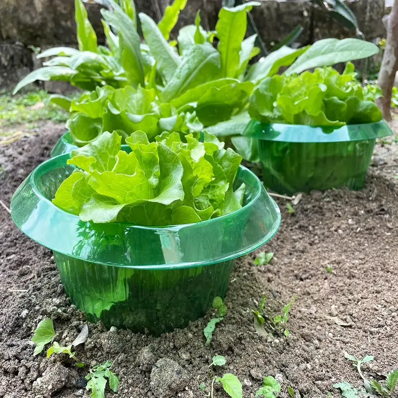 Plants Slug Protection Rings V - Smart Home Green review and price