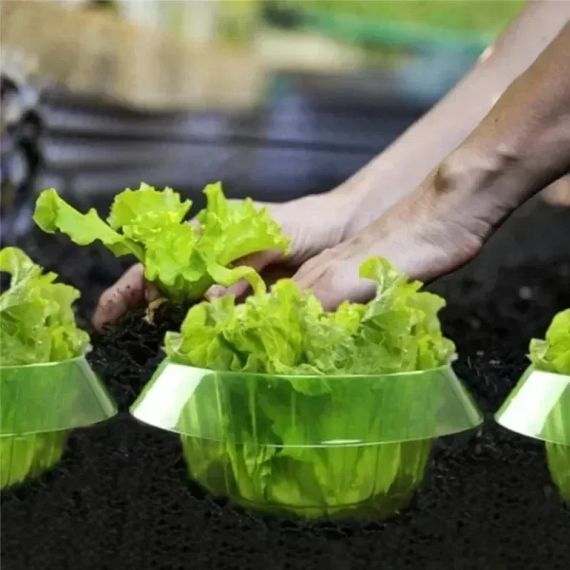 Plants Slug Protection Rings V - Smart Home Green review and price