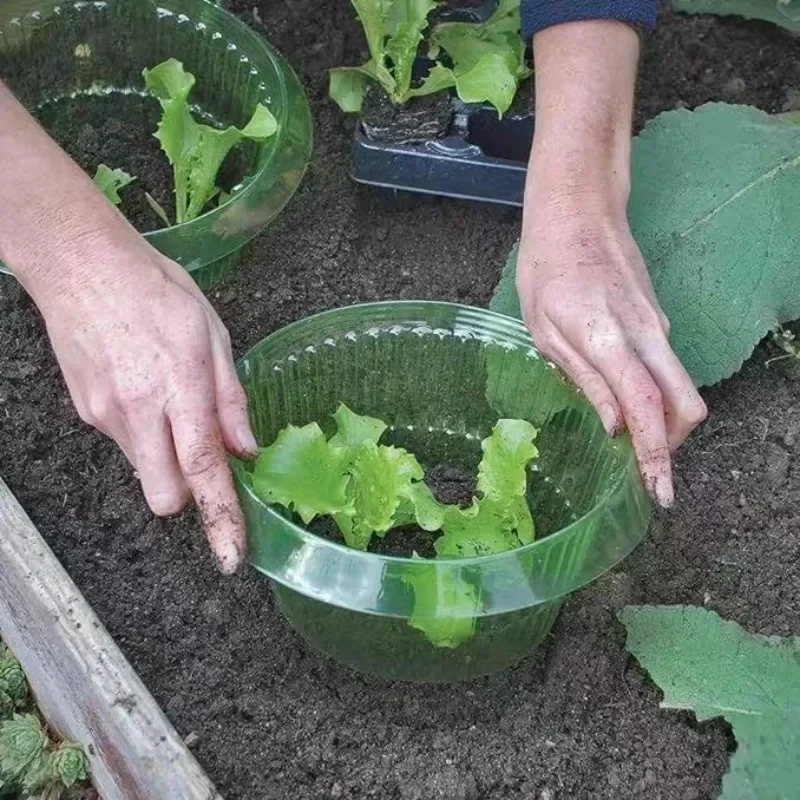 Plants Slug Protection Rings V - Smart Home Green review and price