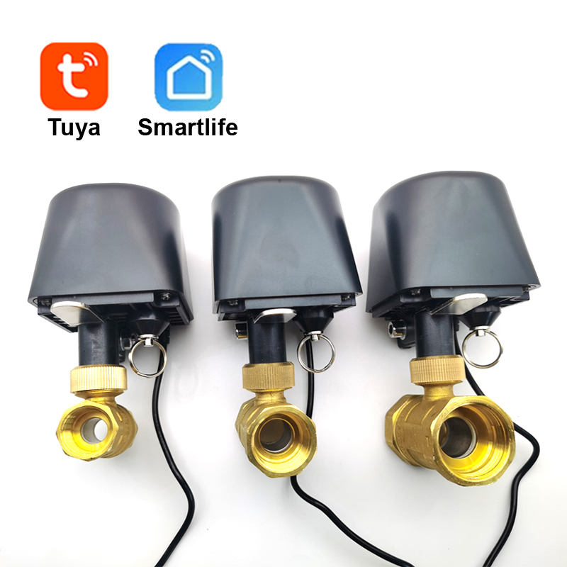 Tuya WiFi or Zigbee Water Valv - Smart Home Green review and price